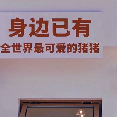 宠物店宠物小知识教案